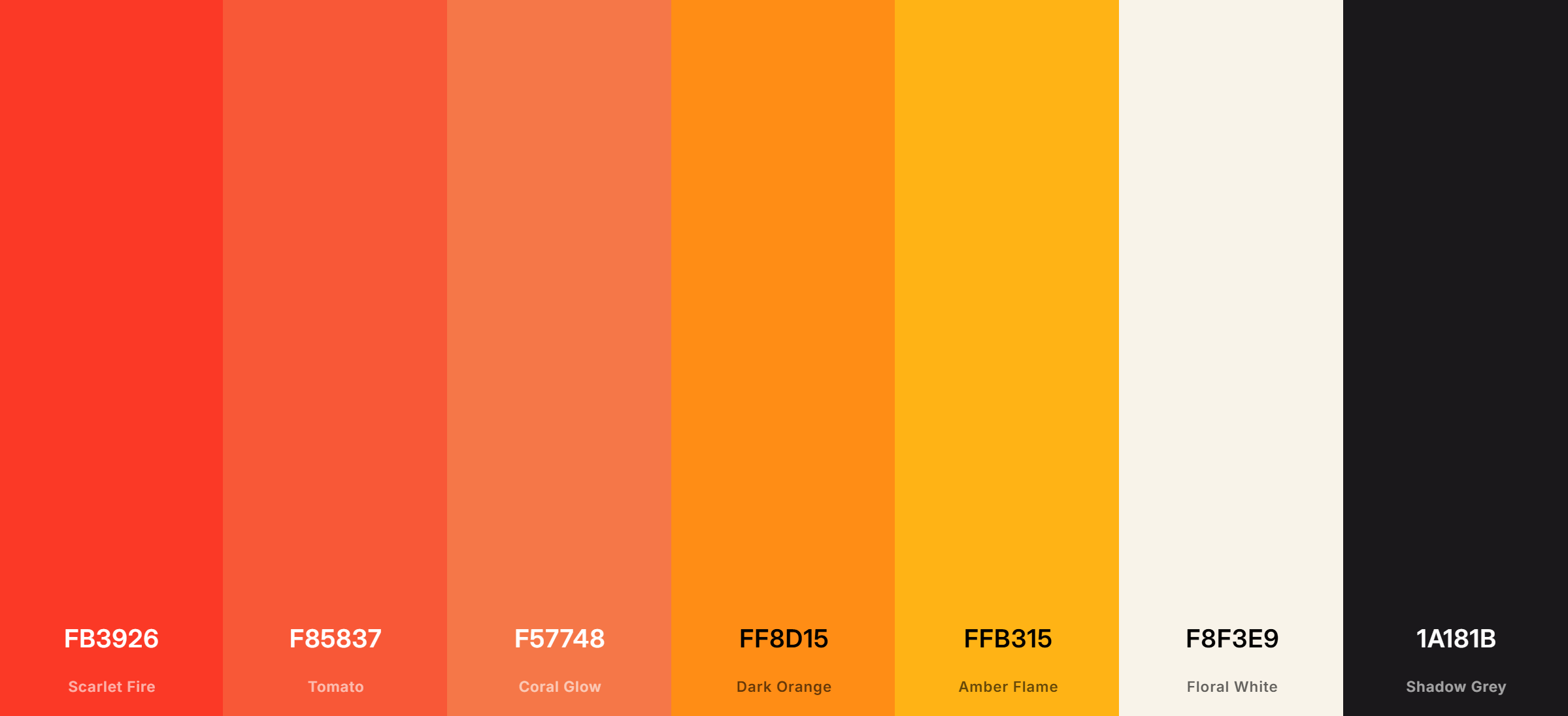 BVS web design and print